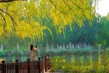 91视频麻豆在线观看-线上的风采，探索91视频麻豆的魅力与界限