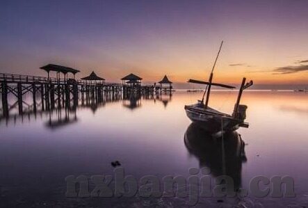 大象传媒网页在线版-探索大象传媒网页在线版的多元化魅力