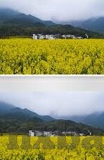 麻豆app官方版-麻豆APP官方版，重塑数字娱乐新体验