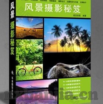 麻豆短视频传媒app-聚焦网络文化新风向，麻豆短视频传媒App的多元魅力和影响力探索