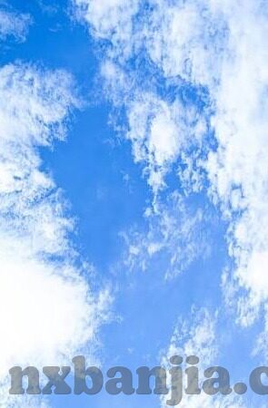 亚洲91麻豆视频-揭开网络暗流，对亚洲91麻豆视频的冷静审视